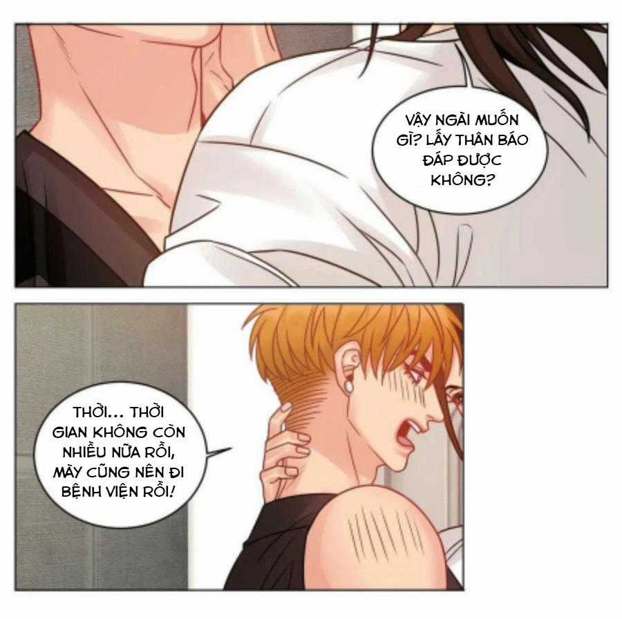 Cây Nhỏ Và Mùa Xuân Thân Yêu Chapter 193 trang 8