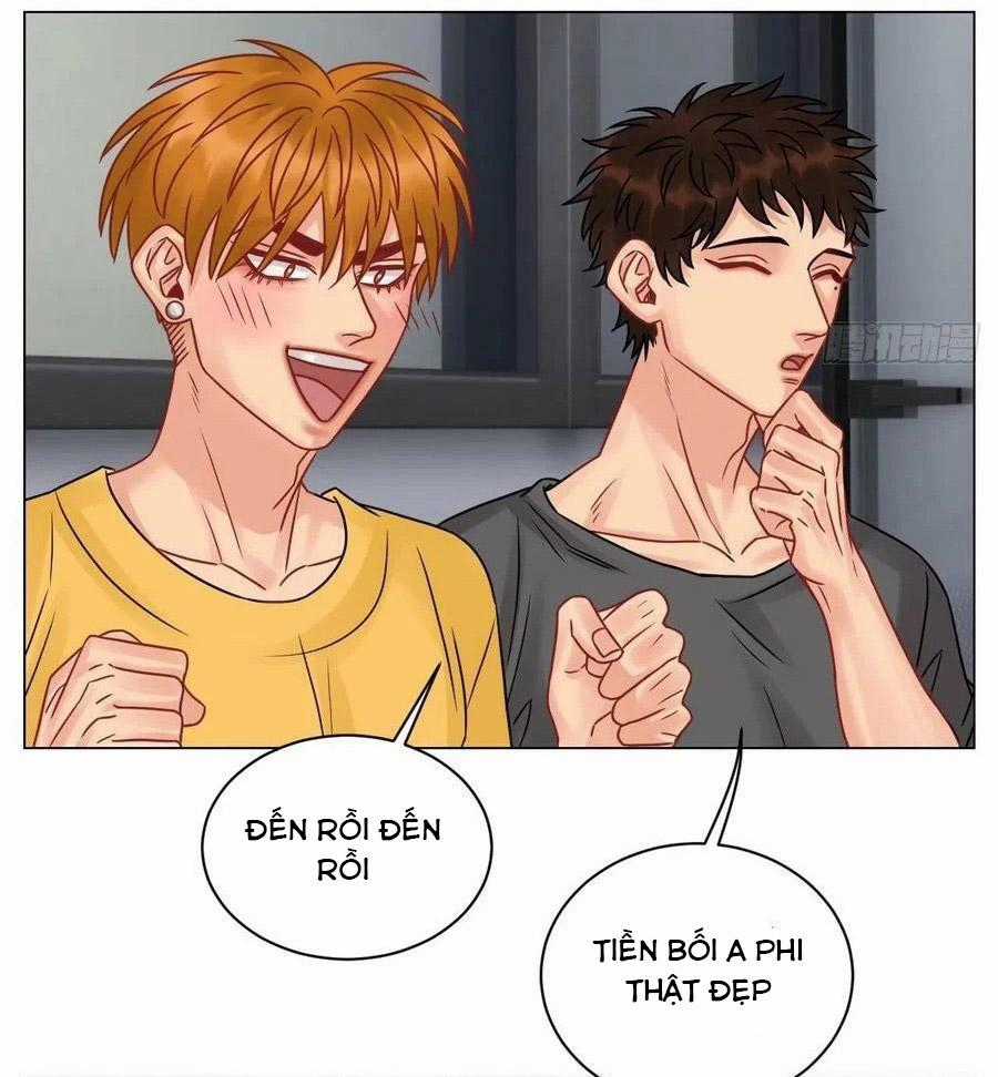 Cây Nhỏ Và Mùa Xuân Thân Yêu Chapter 195 trang 6