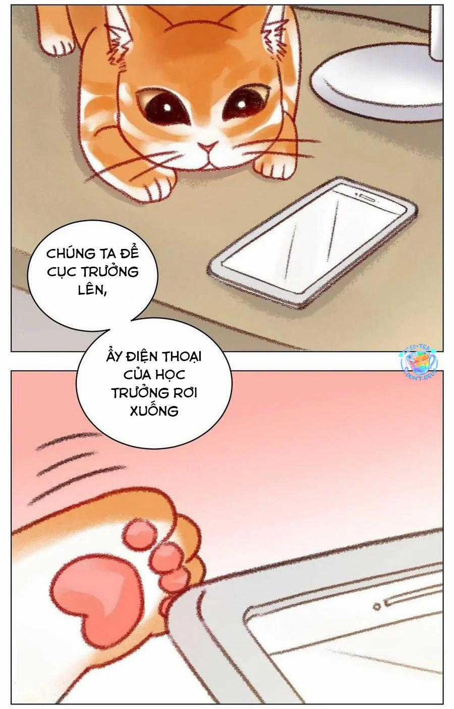 Cây Nhỏ Và Mùa Xuân Thân Yêu Chapter 196 trang 11