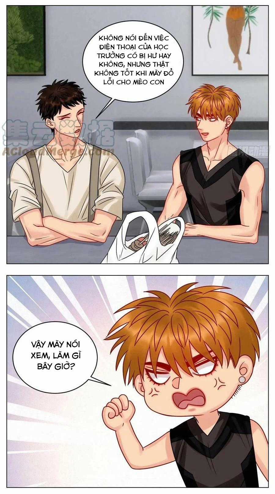 Cây Nhỏ Và Mùa Xuân Thân Yêu Chapter 196 trang 13