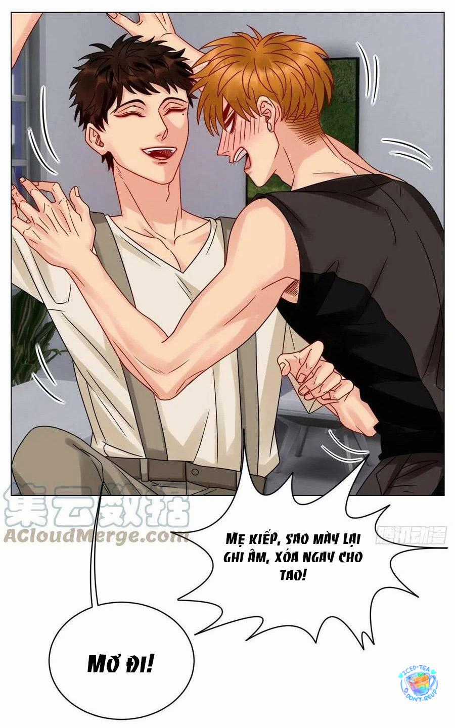 Cây Nhỏ Và Mùa Xuân Thân Yêu Chapter 196 trang 17