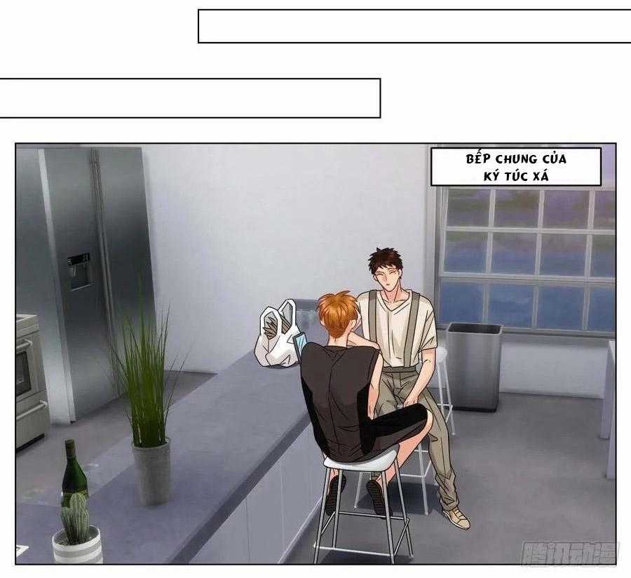 Cây Nhỏ Và Mùa Xuân Thân Yêu Chapter 196 trang 8