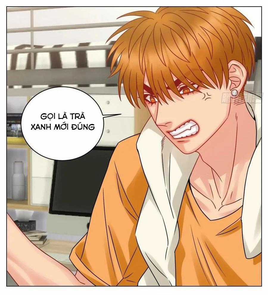 Cây Nhỏ Và Mùa Xuân Thân Yêu Chapter 198 trang 16