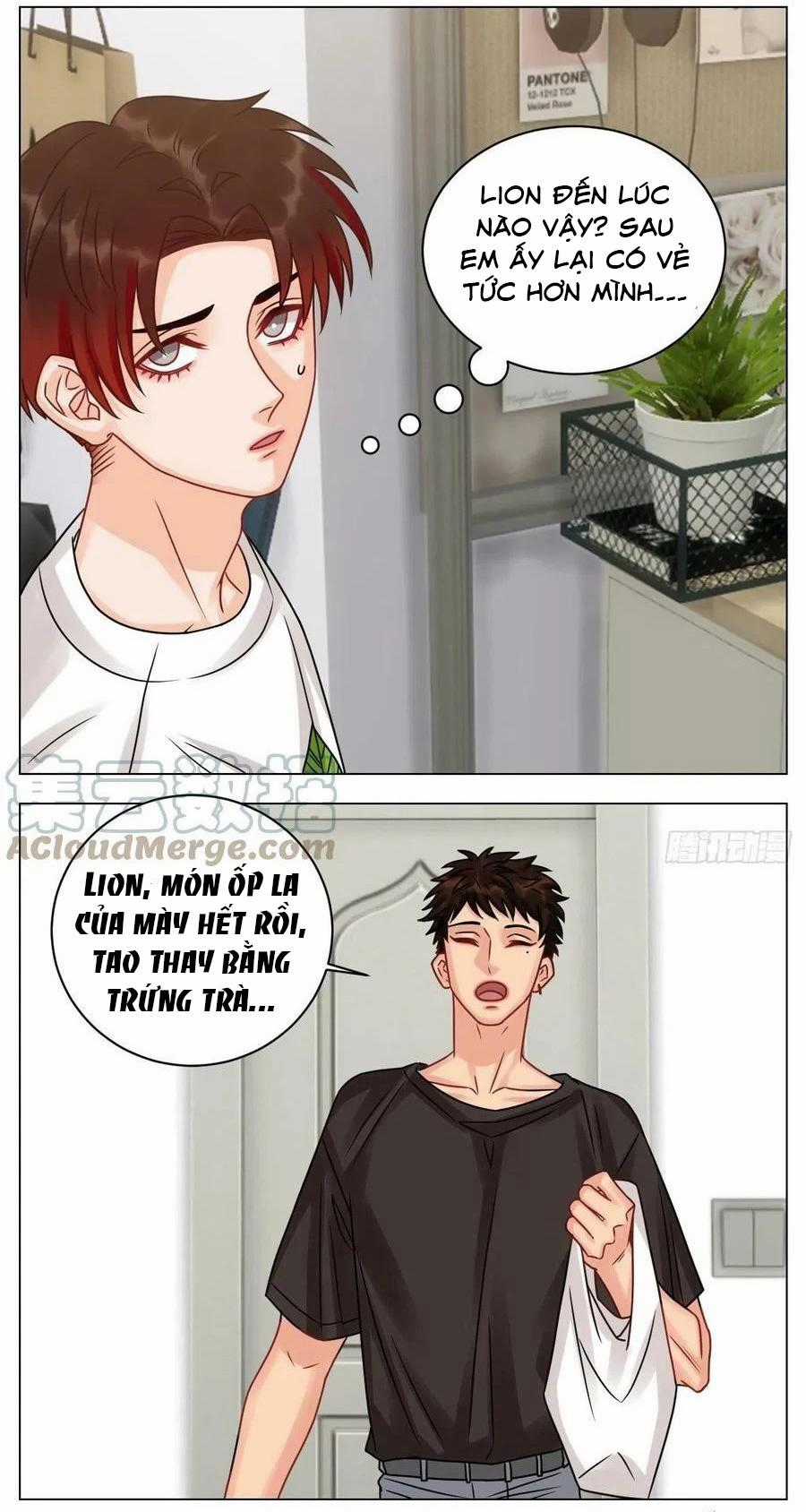 Cây Nhỏ Và Mùa Xuân Thân Yêu Chapter 198 trang 17