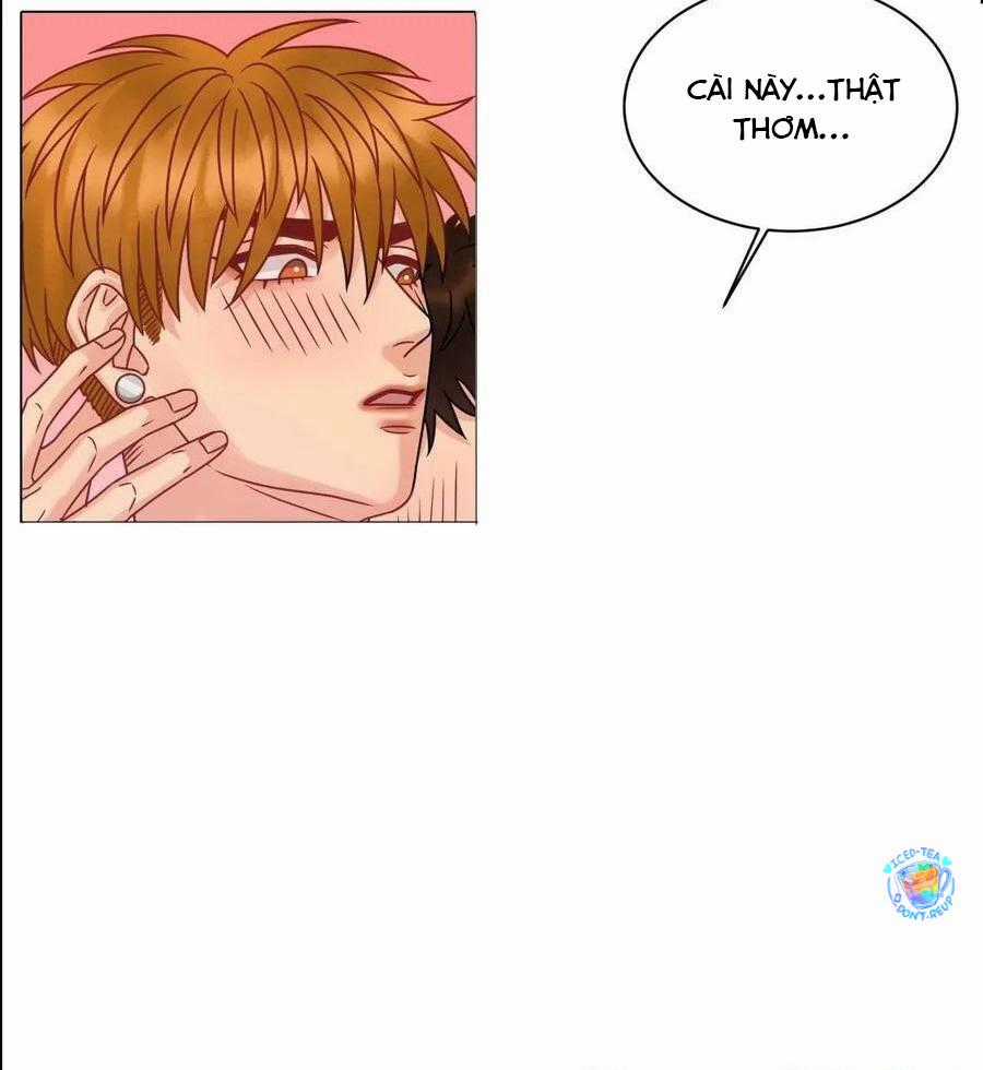 Cây Nhỏ Và Mùa Xuân Thân Yêu Chapter 199 trang 17