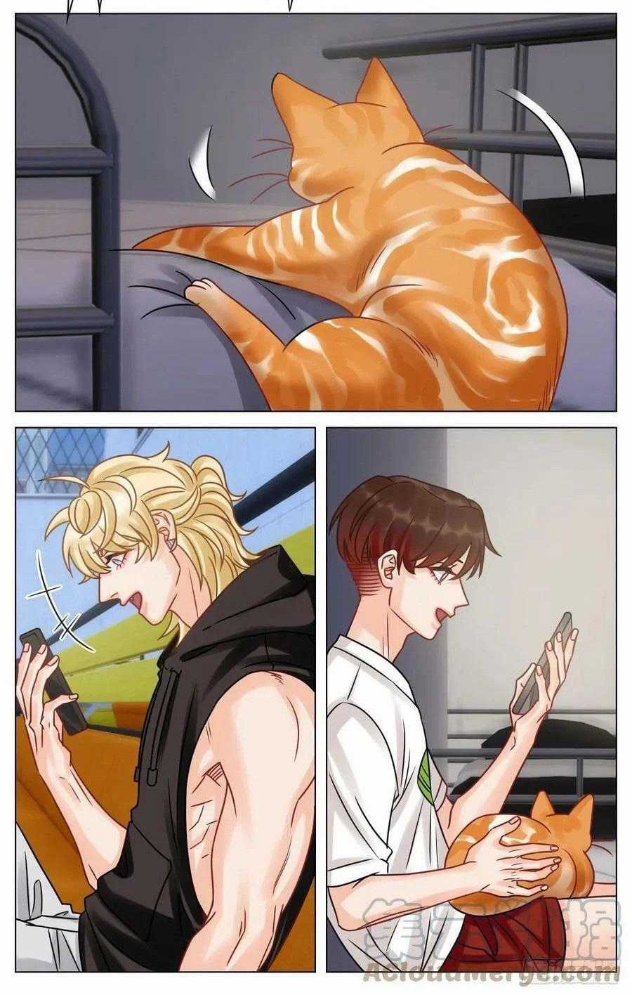 Cây Nhỏ Và Mùa Xuân Thân Yêu Chapter 200 trang 9