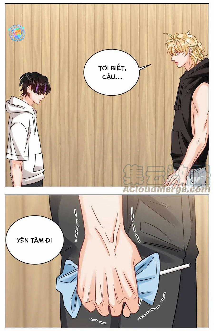 Cây Nhỏ Và Mùa Xuân Thân Yêu Chapter 203 trang 11