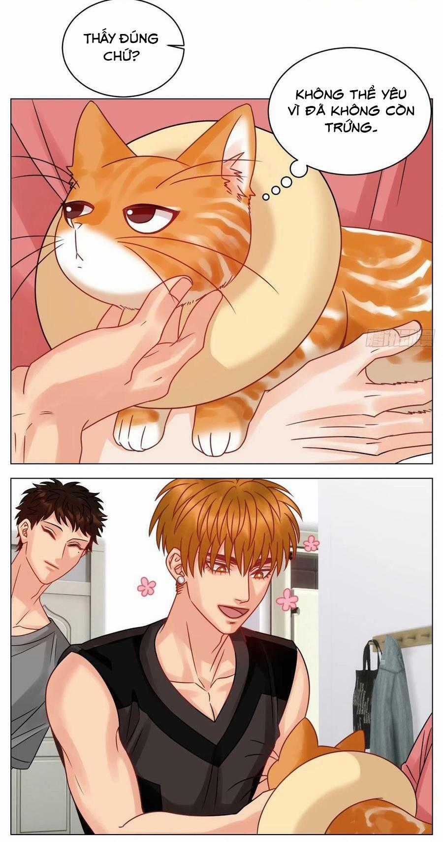 Cây Nhỏ Và Mùa Xuân Thân Yêu Chapter 204 trang 4