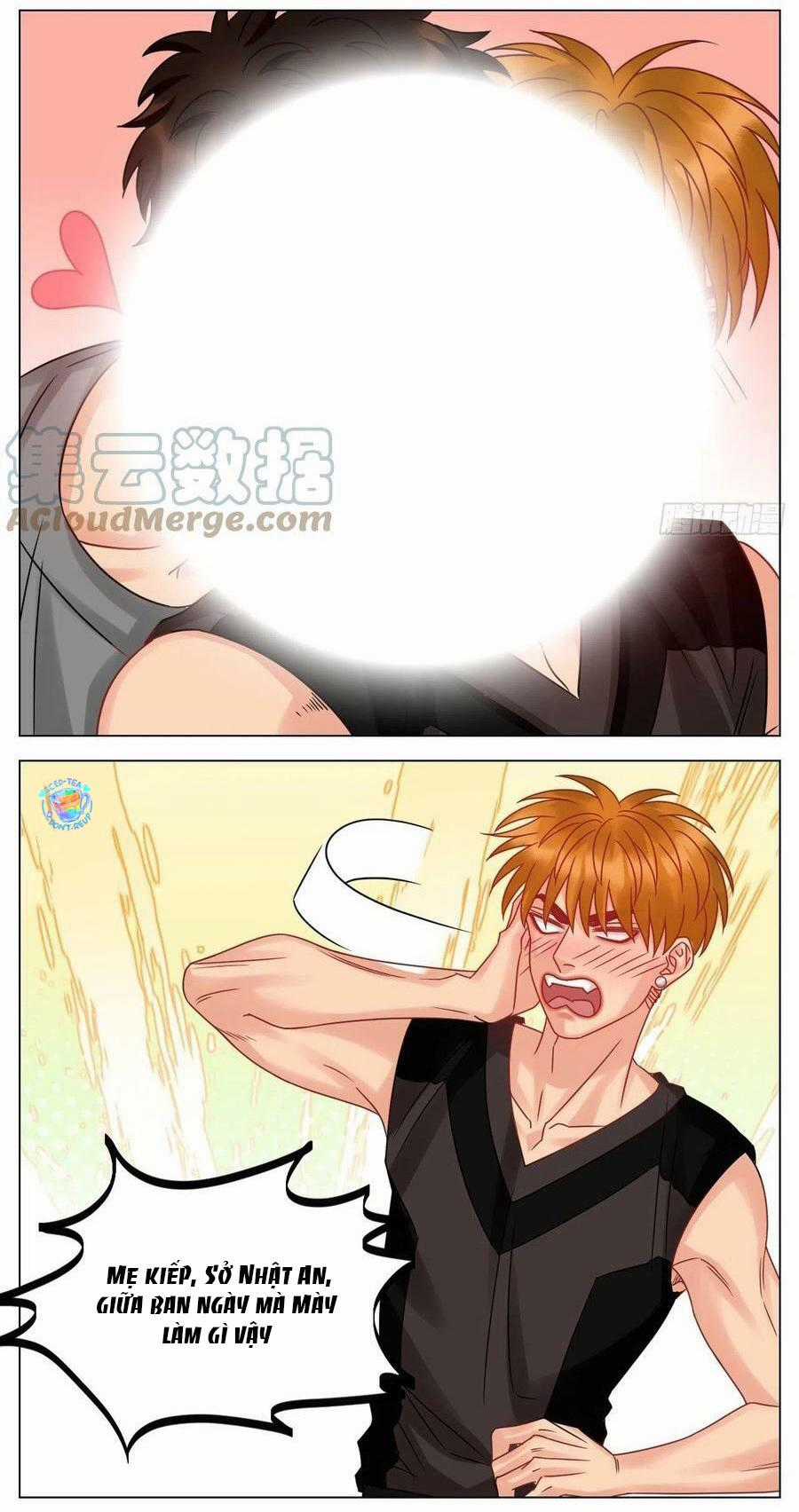 Cây Nhỏ Và Mùa Xuân Thân Yêu Chapter 204 trang 5