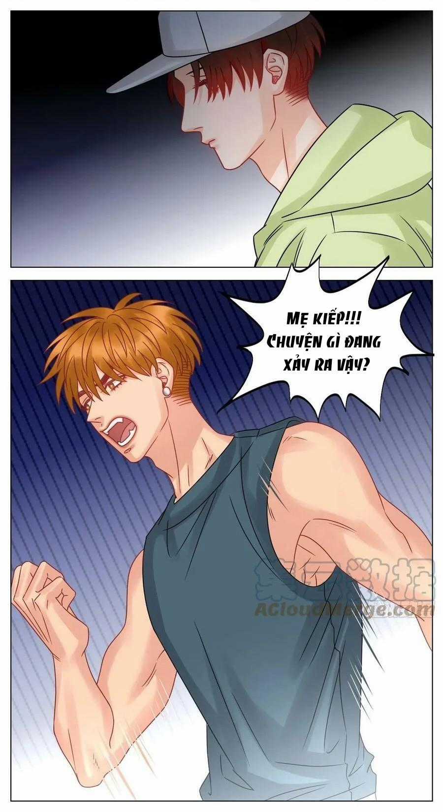 Cây Nhỏ Và Mùa Xuân Thân Yêu Chapter 205 trang 7