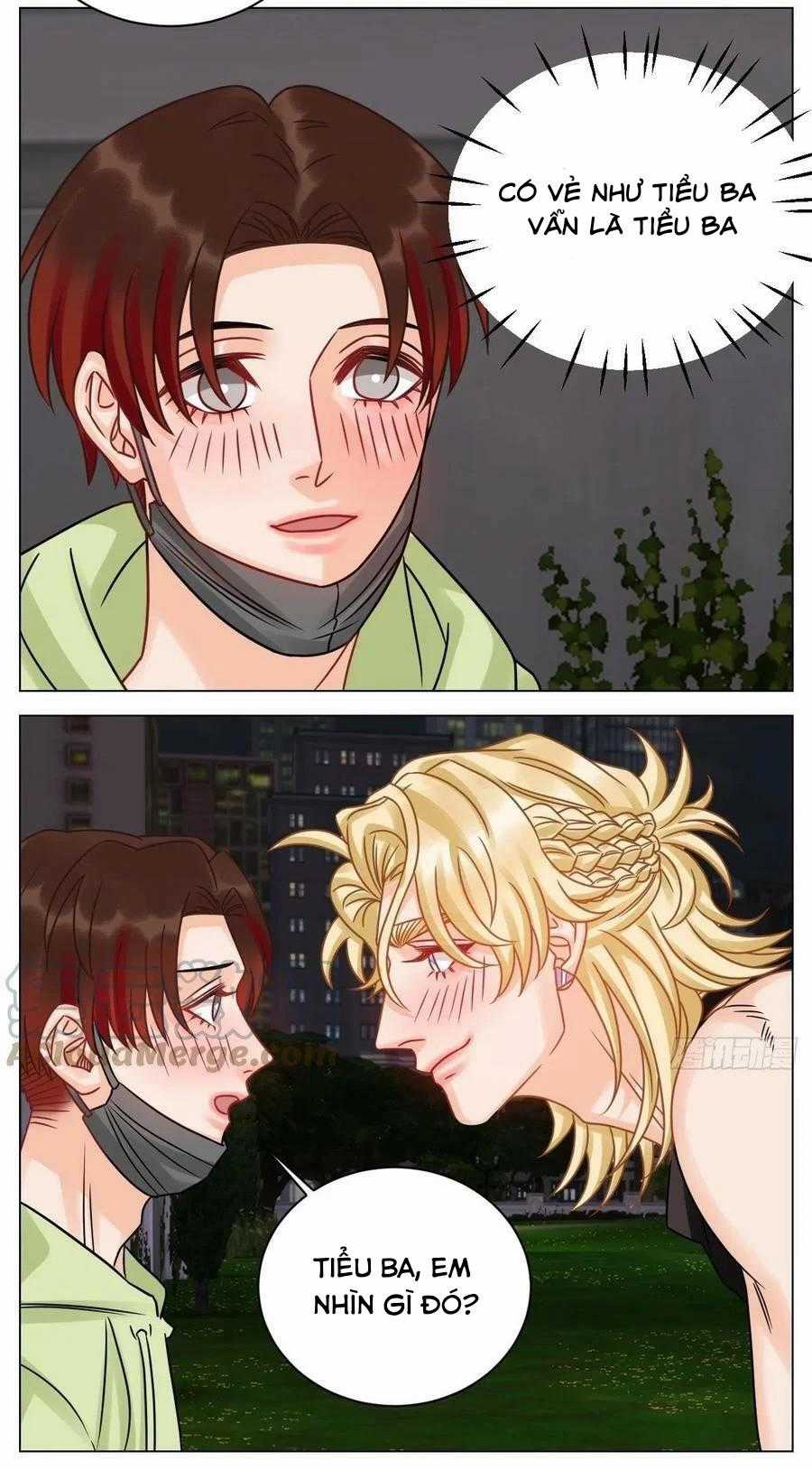 Cây Nhỏ Và Mùa Xuân Thân Yêu Chapter 209 trang 13