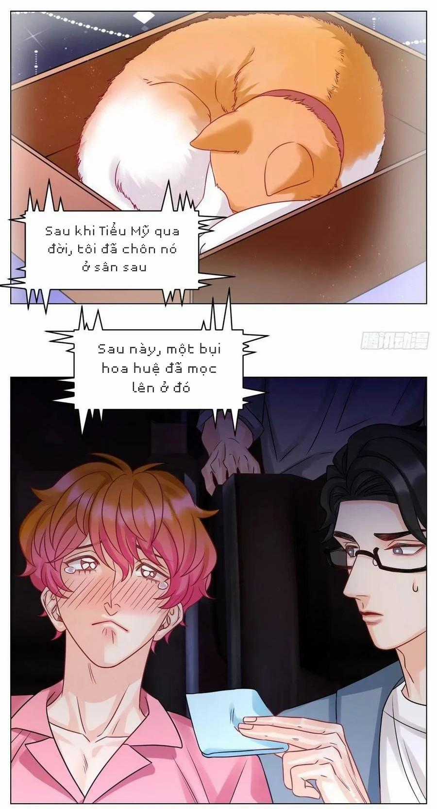 Cây Nhỏ Và Mùa Xuân Thân Yêu Chapter 210 trang 11