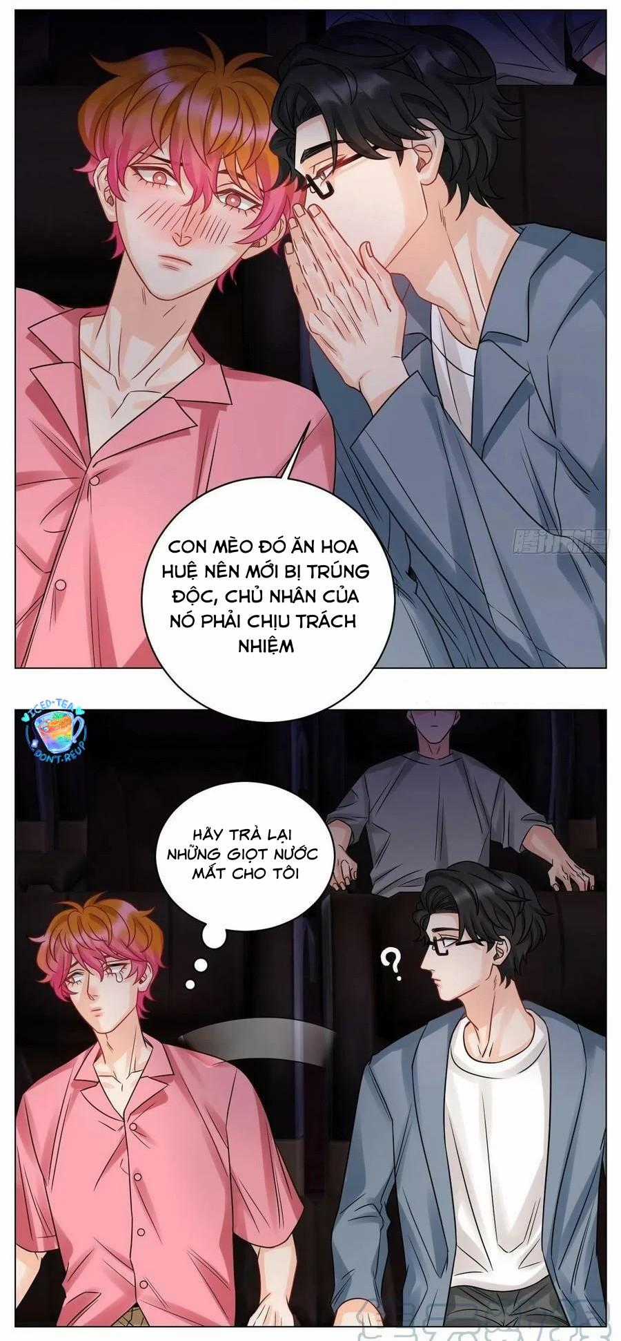 Cây Nhỏ Và Mùa Xuân Thân Yêu Chapter 210 trang 14