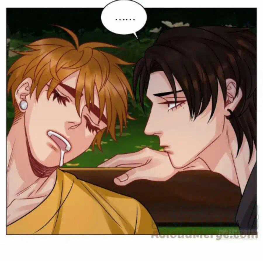 Cây Nhỏ Và Mùa Xuân Thân Yêu Chapter 214 trang 11