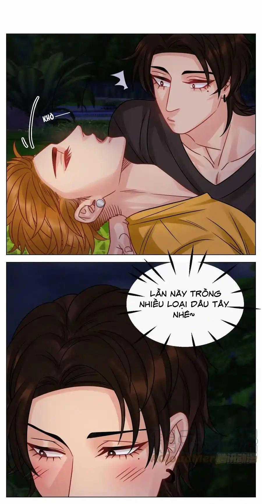 Cây Nhỏ Và Mùa Xuân Thân Yêu Chapter 214 trang 13