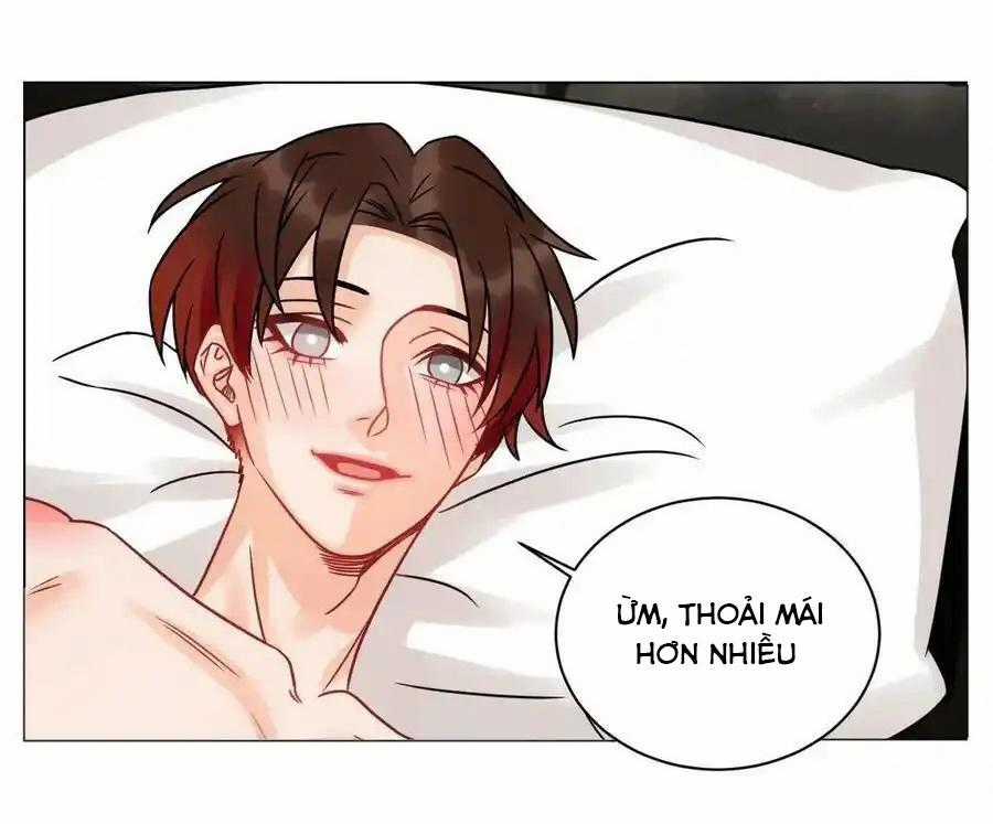 Cây Nhỏ Và Mùa Xuân Thân Yêu Chapter 214 trang 18