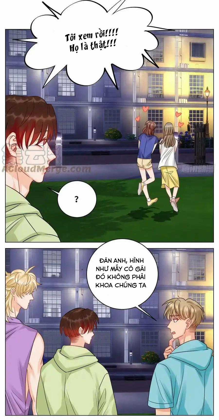 Cây Nhỏ Và Mùa Xuân Thân Yêu Chapter 215 trang 17