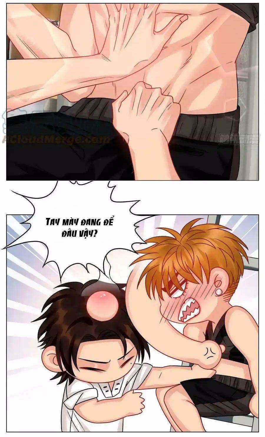 Cây Nhỏ Và Mùa Xuân Thân Yêu Chapter 217 trang 15