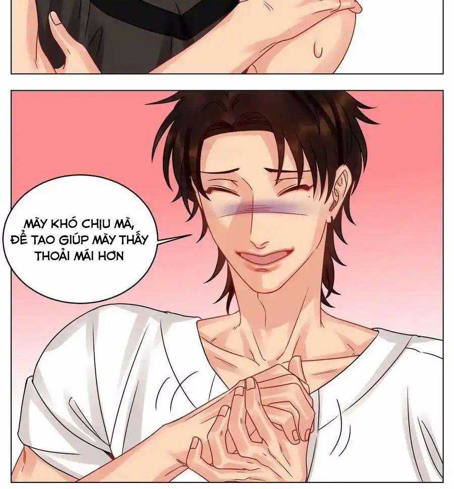 Cây Nhỏ Và Mùa Xuân Thân Yêu Chapter 217 trang 9