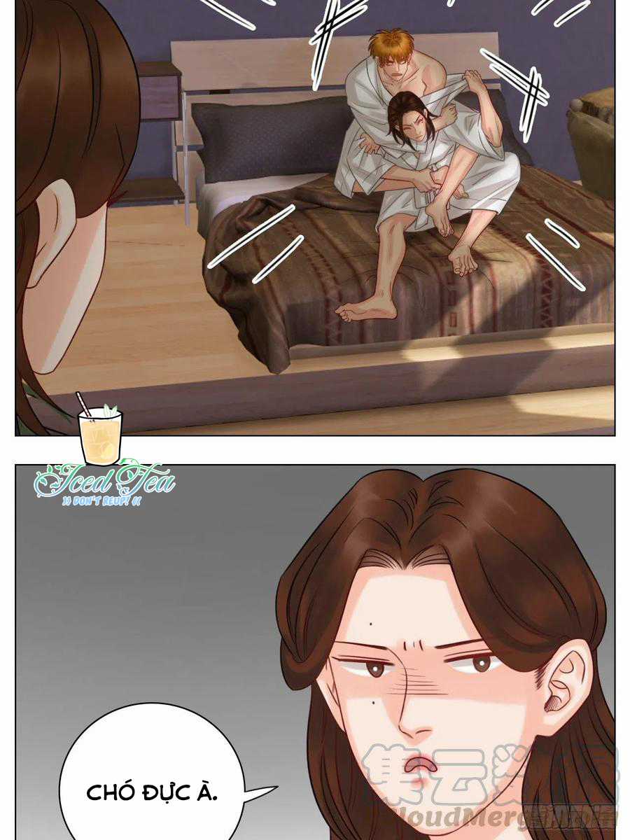 Cây Nhỏ Và Mùa Xuân Thân Yêu Chapter 44 trang 17