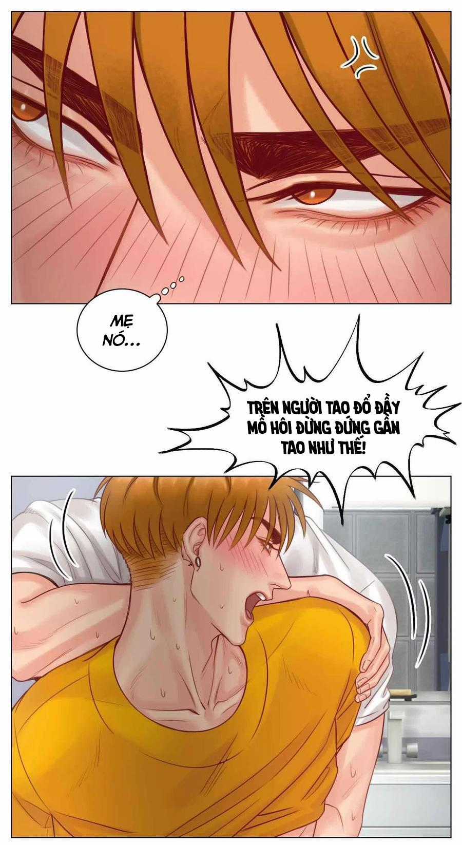 Cây Nhỏ Và Mùa Xuân Thân Yêu Chapter 47 trang 13