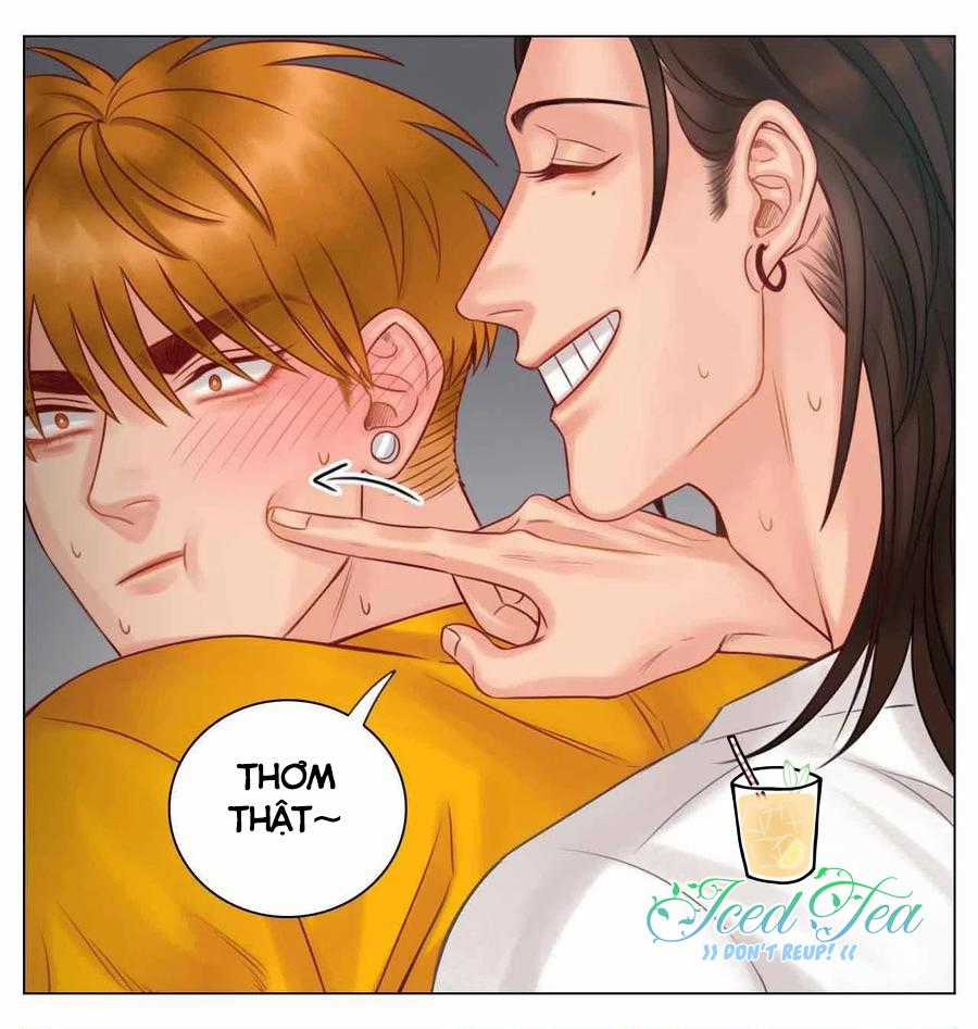 Cây Nhỏ Và Mùa Xuân Thân Yêu Chapter 47 trang 14