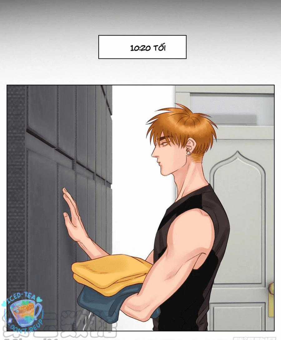 Cây Nhỏ Và Mùa Xuân Thân Yêu Chapter 48 trang 57