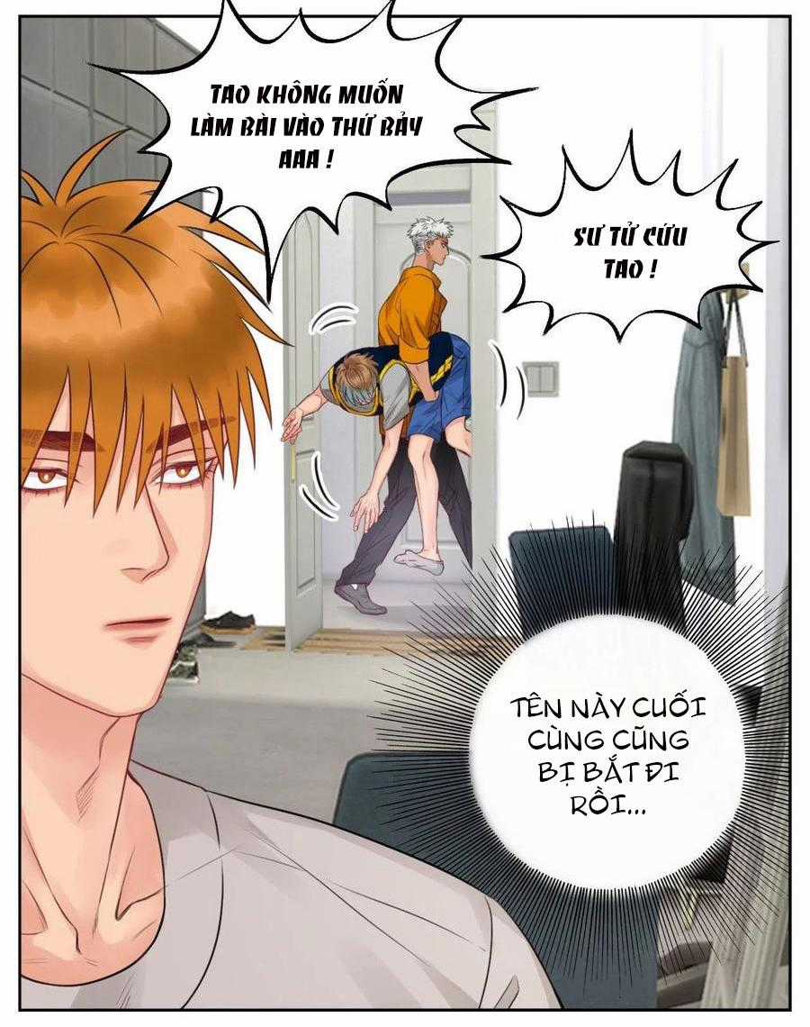 Cây Nhỏ Và Mùa Xuân Thân Yêu Chapter 52 trang 4