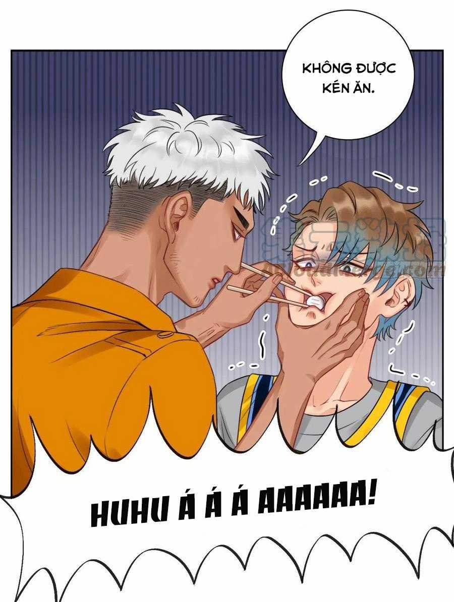 Cây Nhỏ Và Mùa Xuân Thân Yêu Chapter 54 trang 25