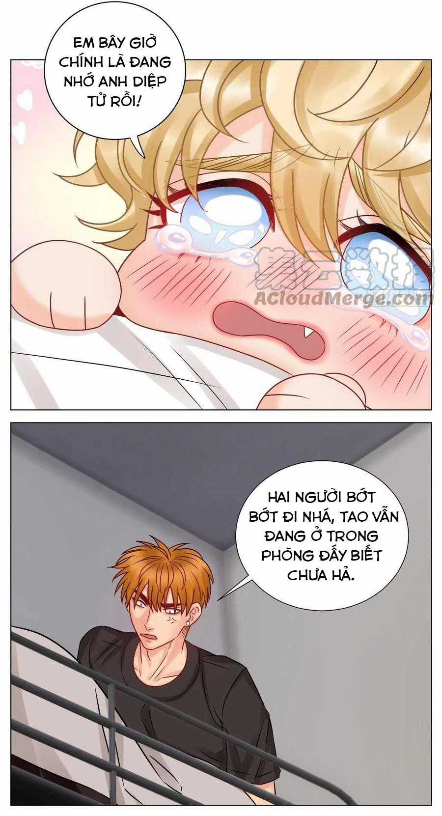 Cây Nhỏ Và Mùa Xuân Thân Yêu Chapter 58 trang 13