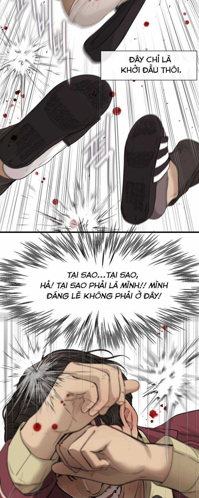 Cell Chapter 1 trang 14