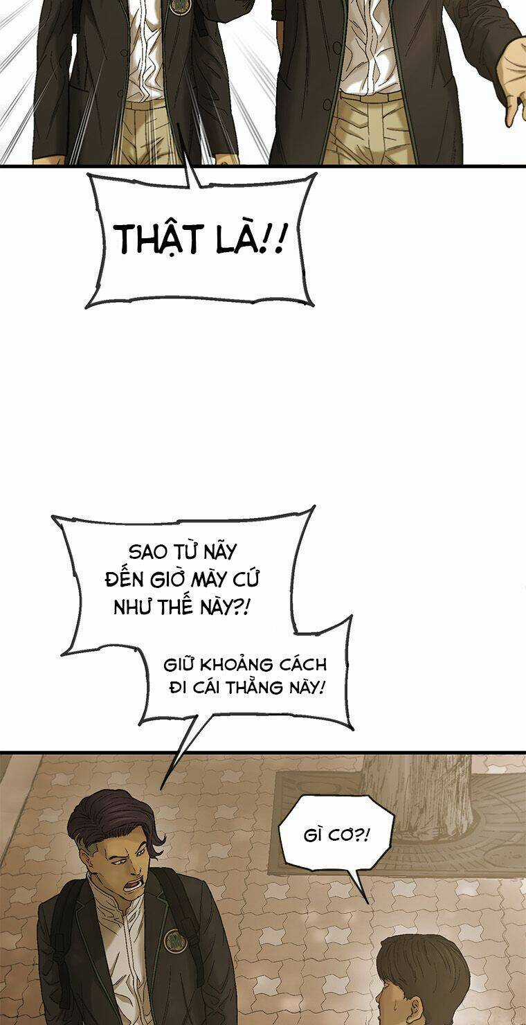 Cell Chapter 12 trang 40