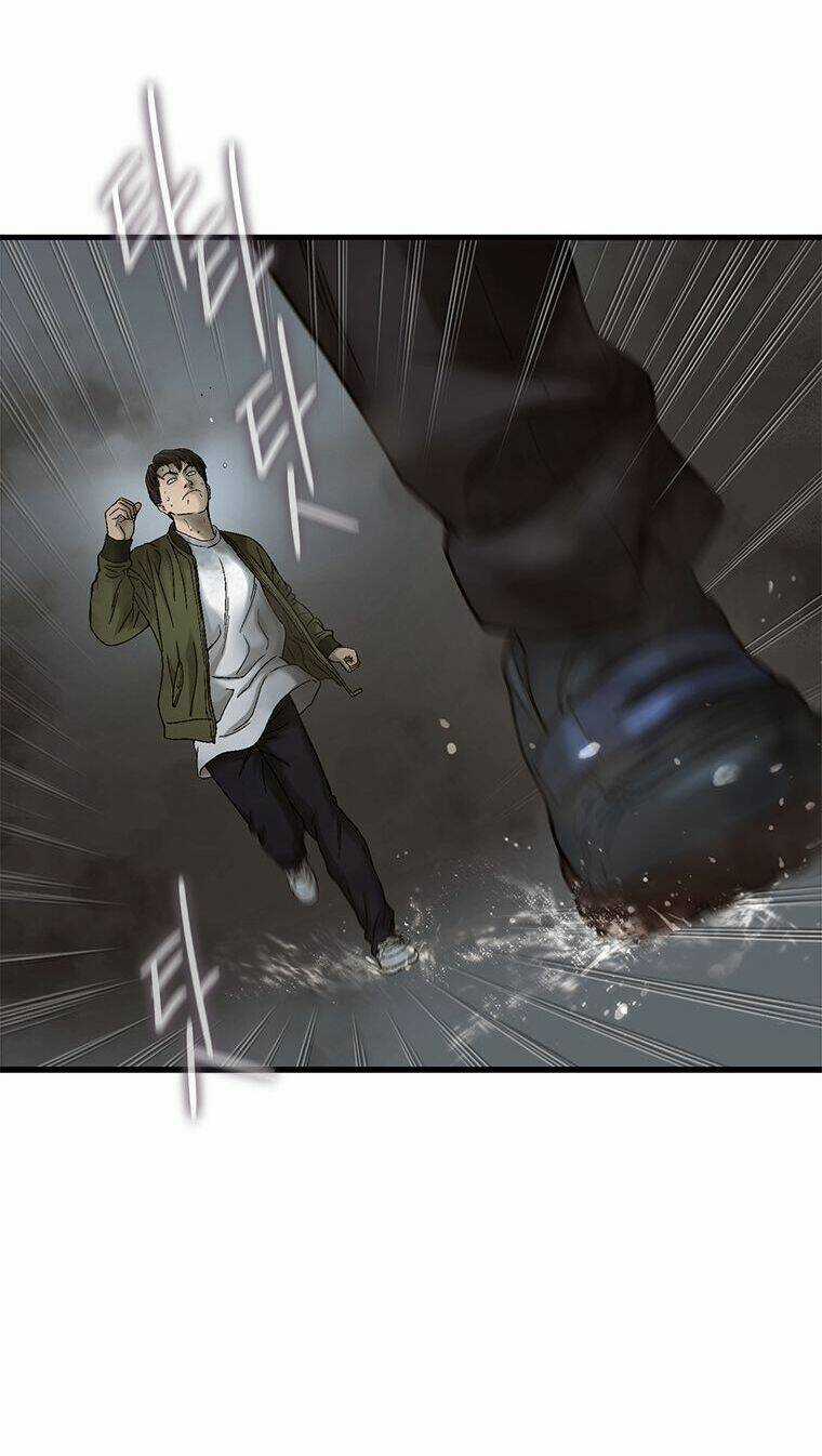 Cell Chapter 14 trang 43