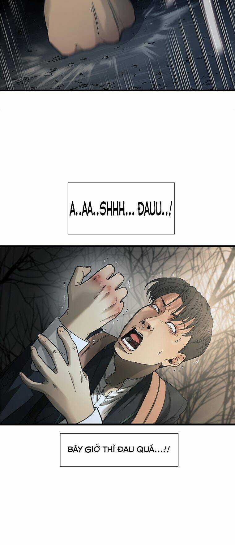 Cell Chapter 25 trang 15