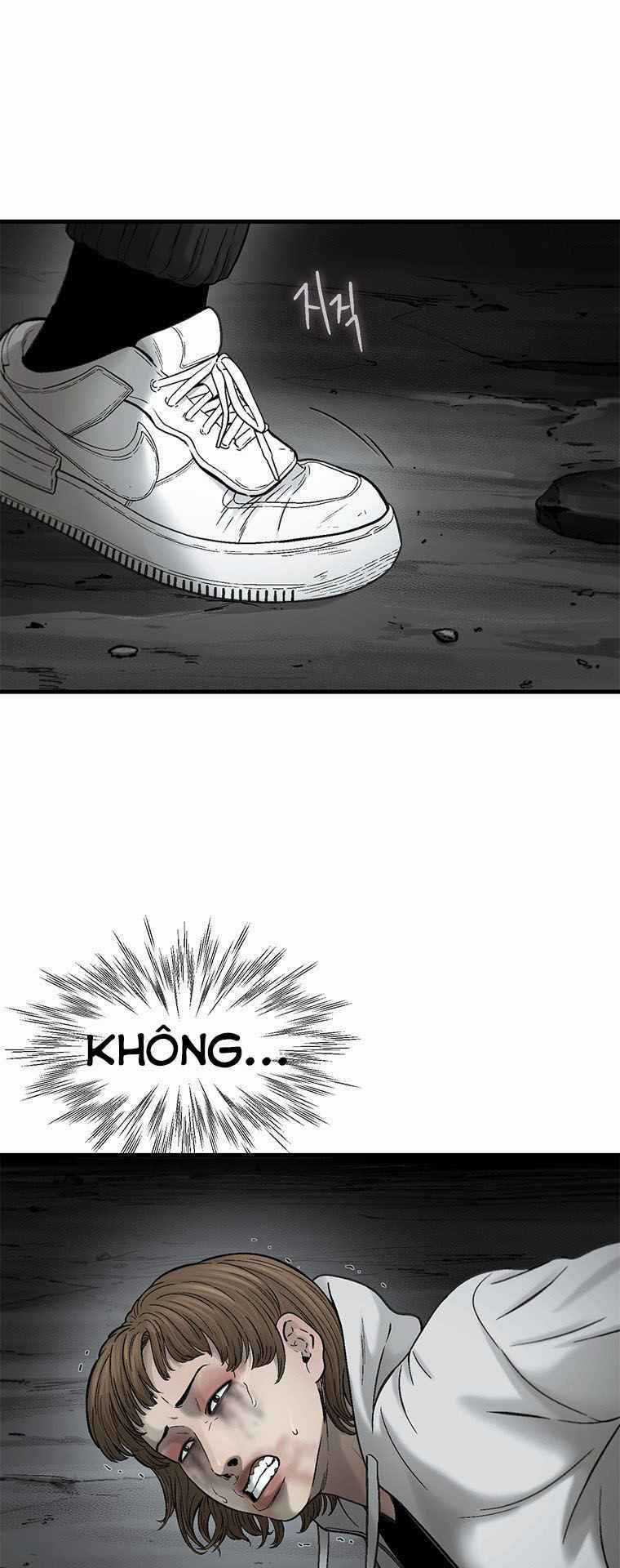 Cell Chapter 39 trang 25