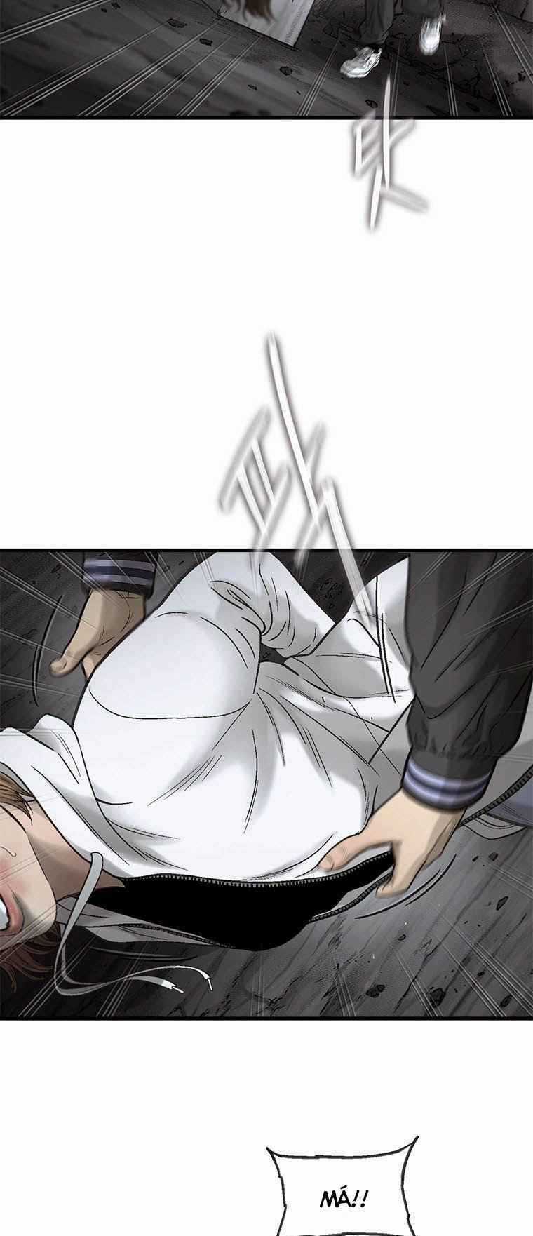 Cell Chapter 39 trang 41