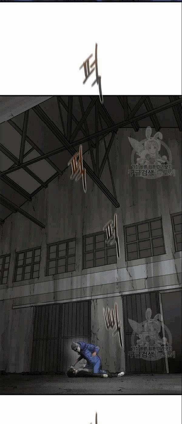 Cell Chapter 41 trang 37