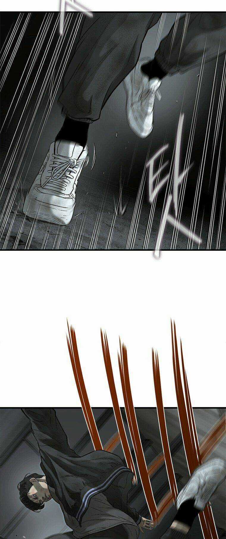 Cell Chapter 42 trang 12