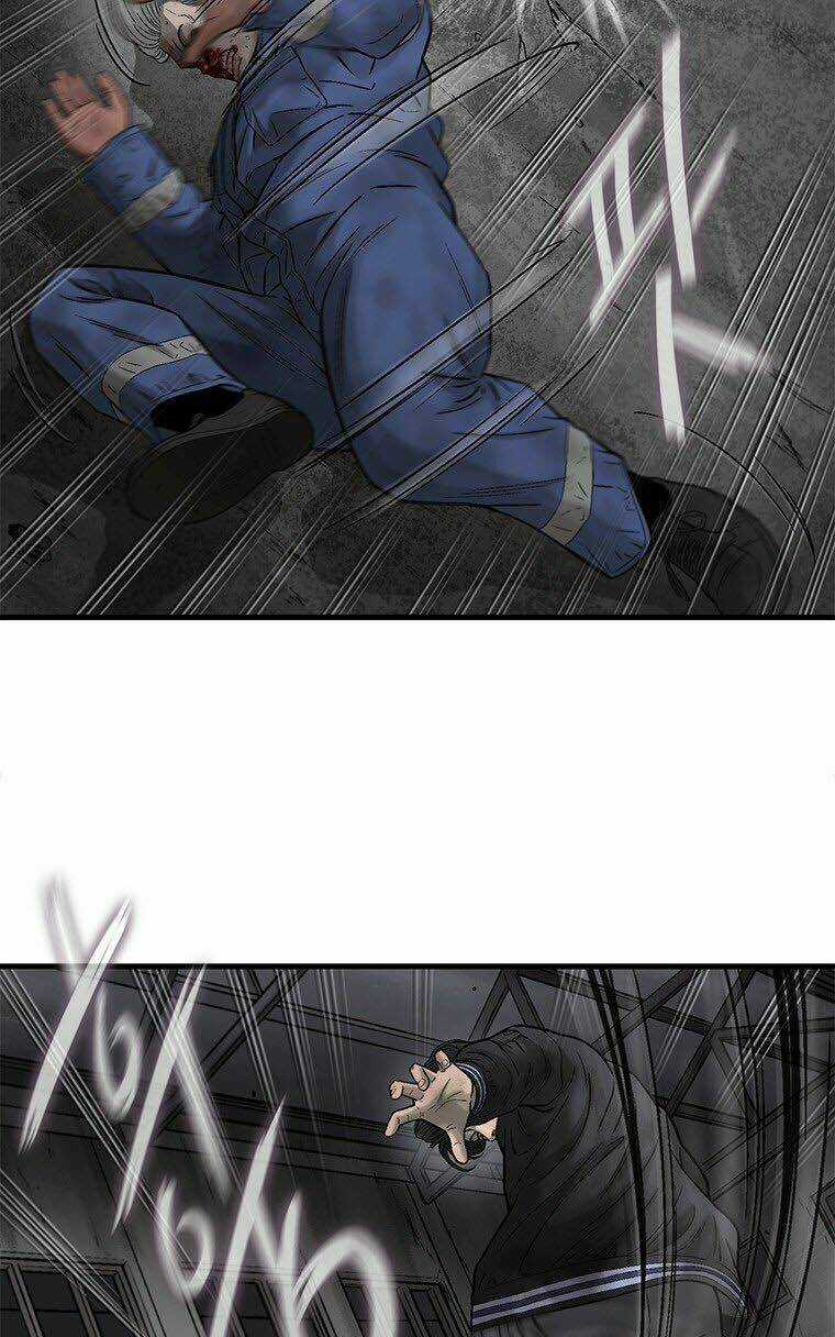 Cell Chapter 42 trang 16