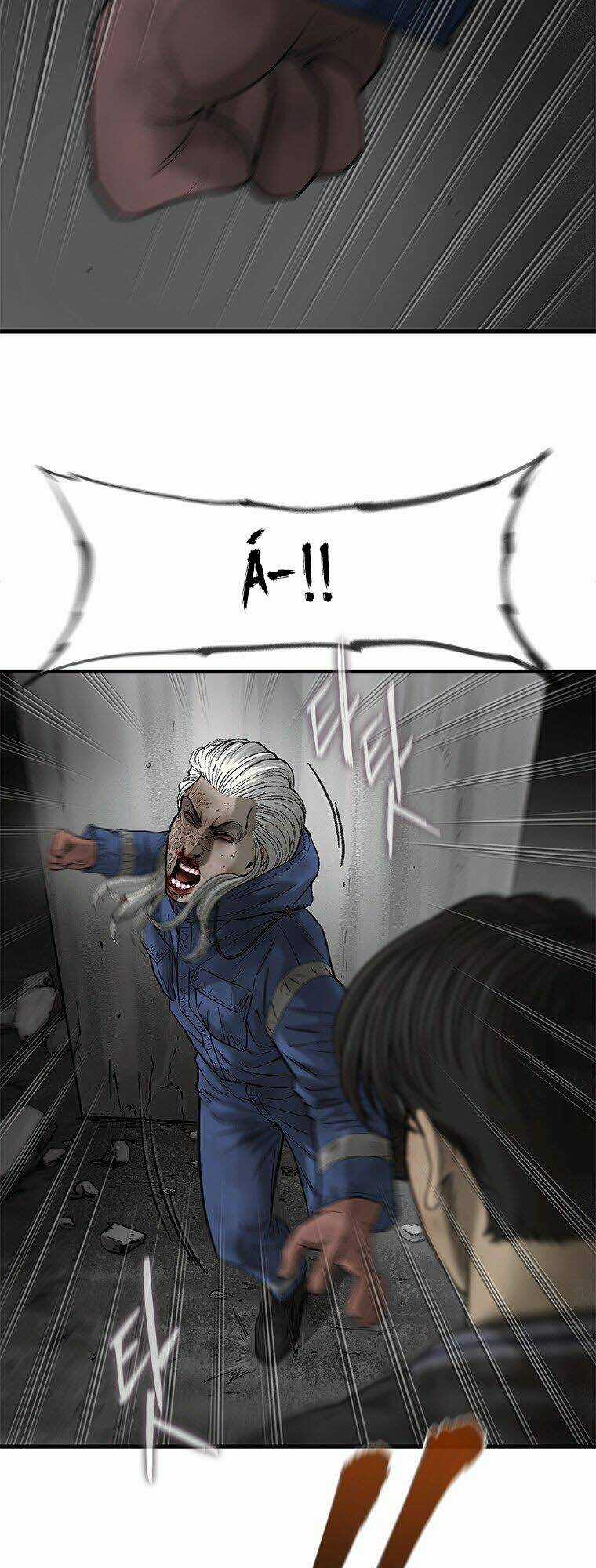 Cell Chapter 42 trang 31