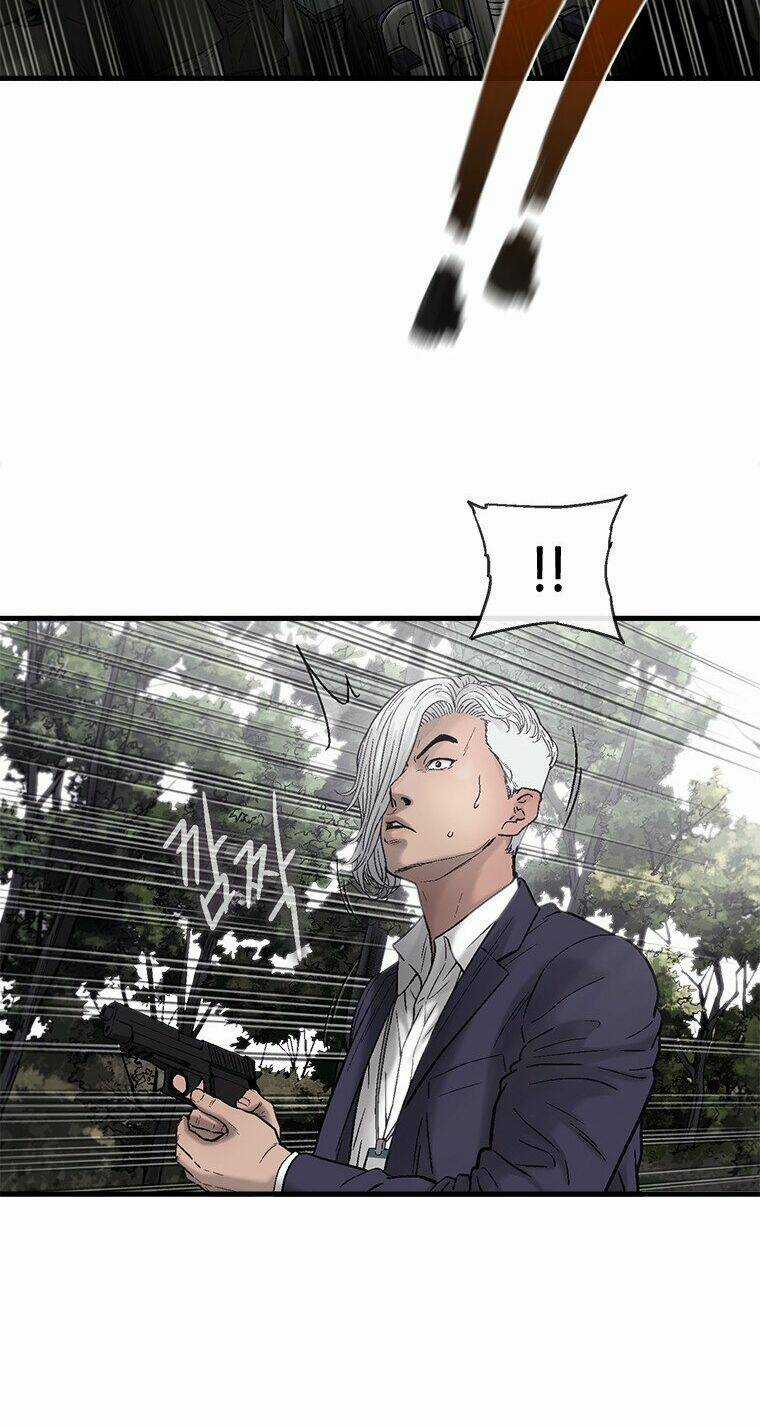 Cell Chapter 45 trang 56