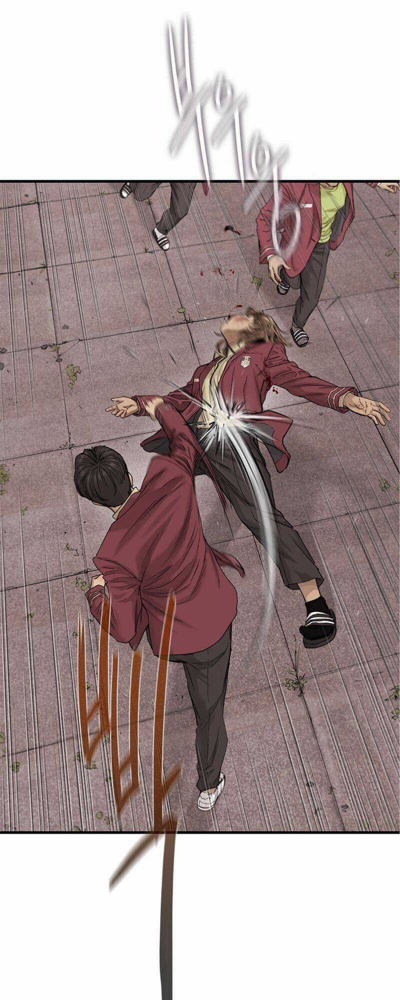 Cell Chapter 5 trang 12