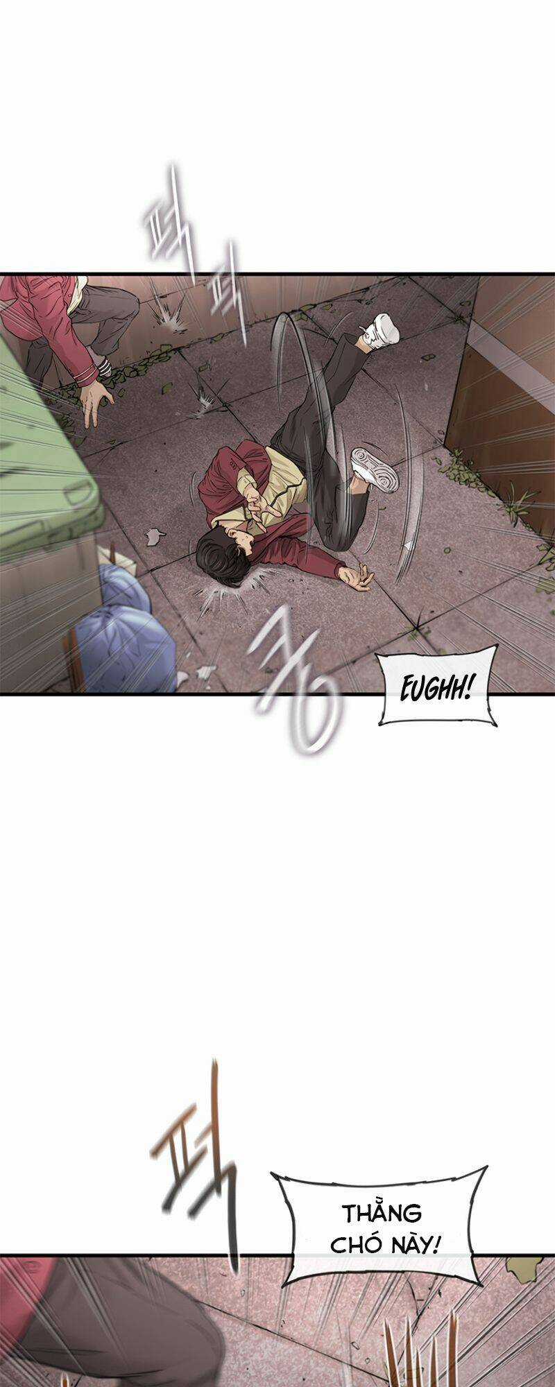 Cell Chapter 5 trang 17