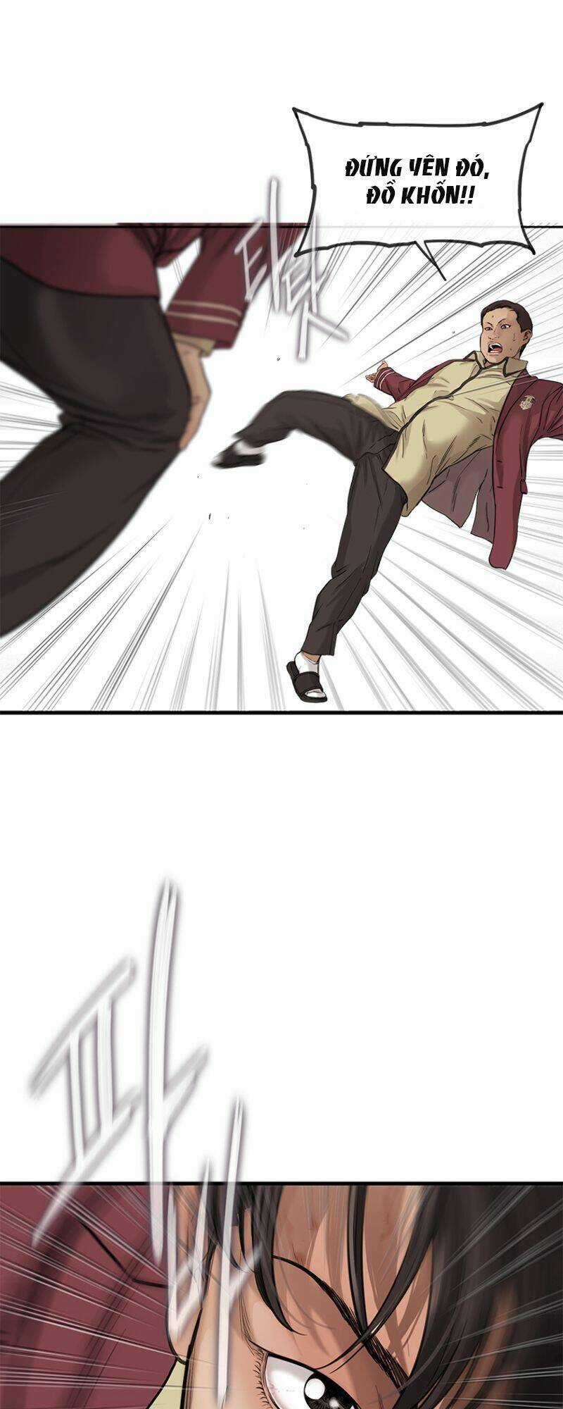 Cell Chapter 5 trang 26