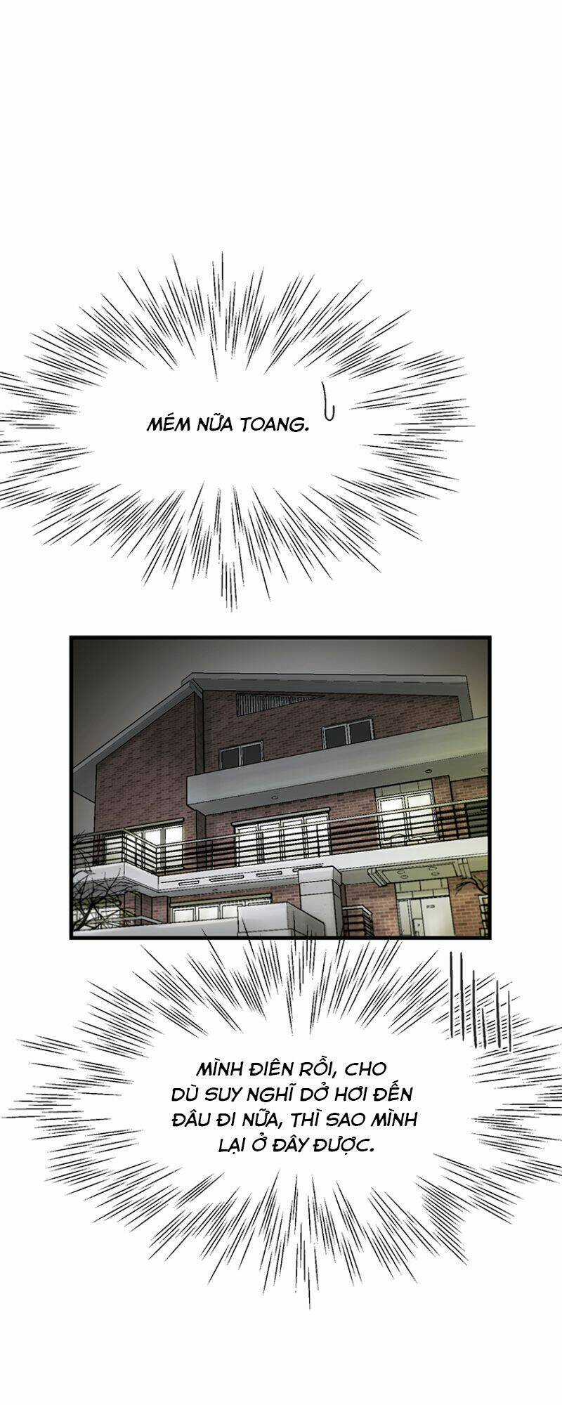 Cell Chapter 8 trang 29