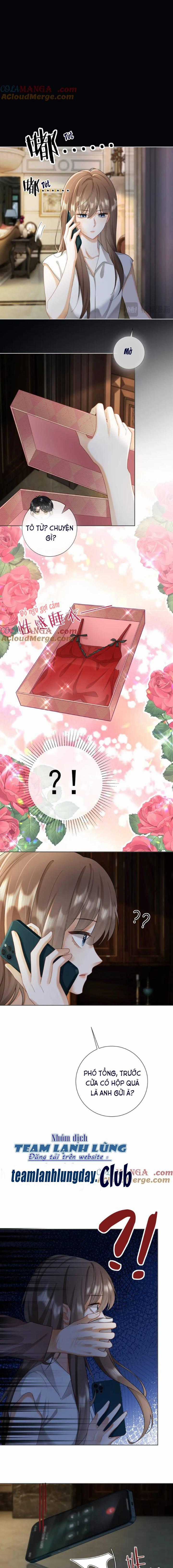 CEO TỶ PHÚ CHỈ YÊU NGƯỜI VỢ THẾ THÂN CỦA MÌNH Chapter 58 trang 6