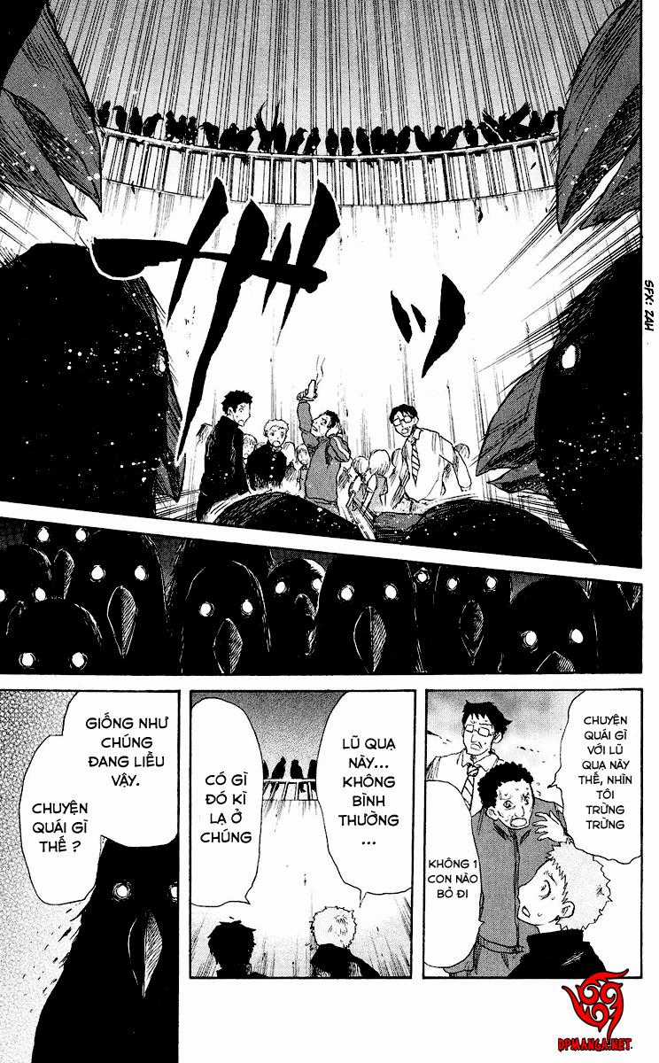 Cerberus(Dp) Chapter 37 trang 9