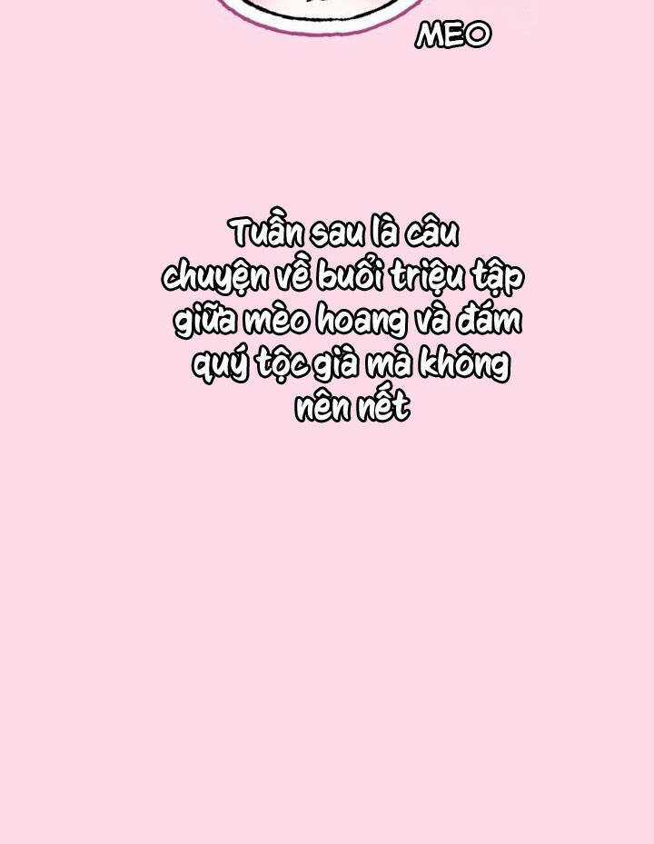 Cha Ơi Con Không Muốn Kết Hôn Đâu Chapter 103 trang 136