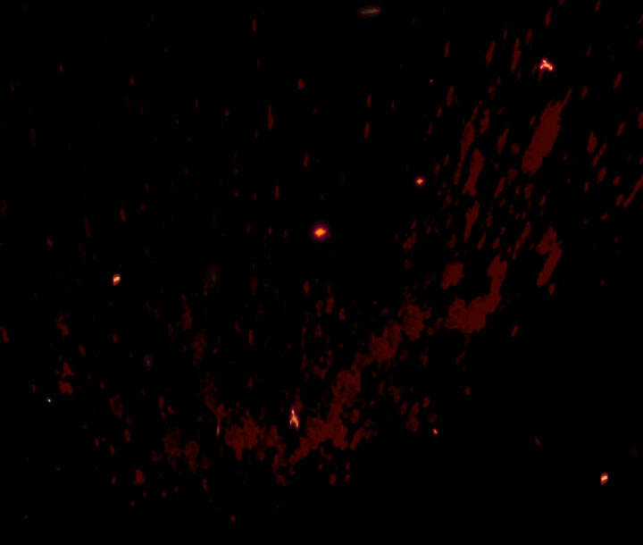 Cha Ơi Con Không Muốn Kết Hôn Đâu Chapter 110.1 trang 55