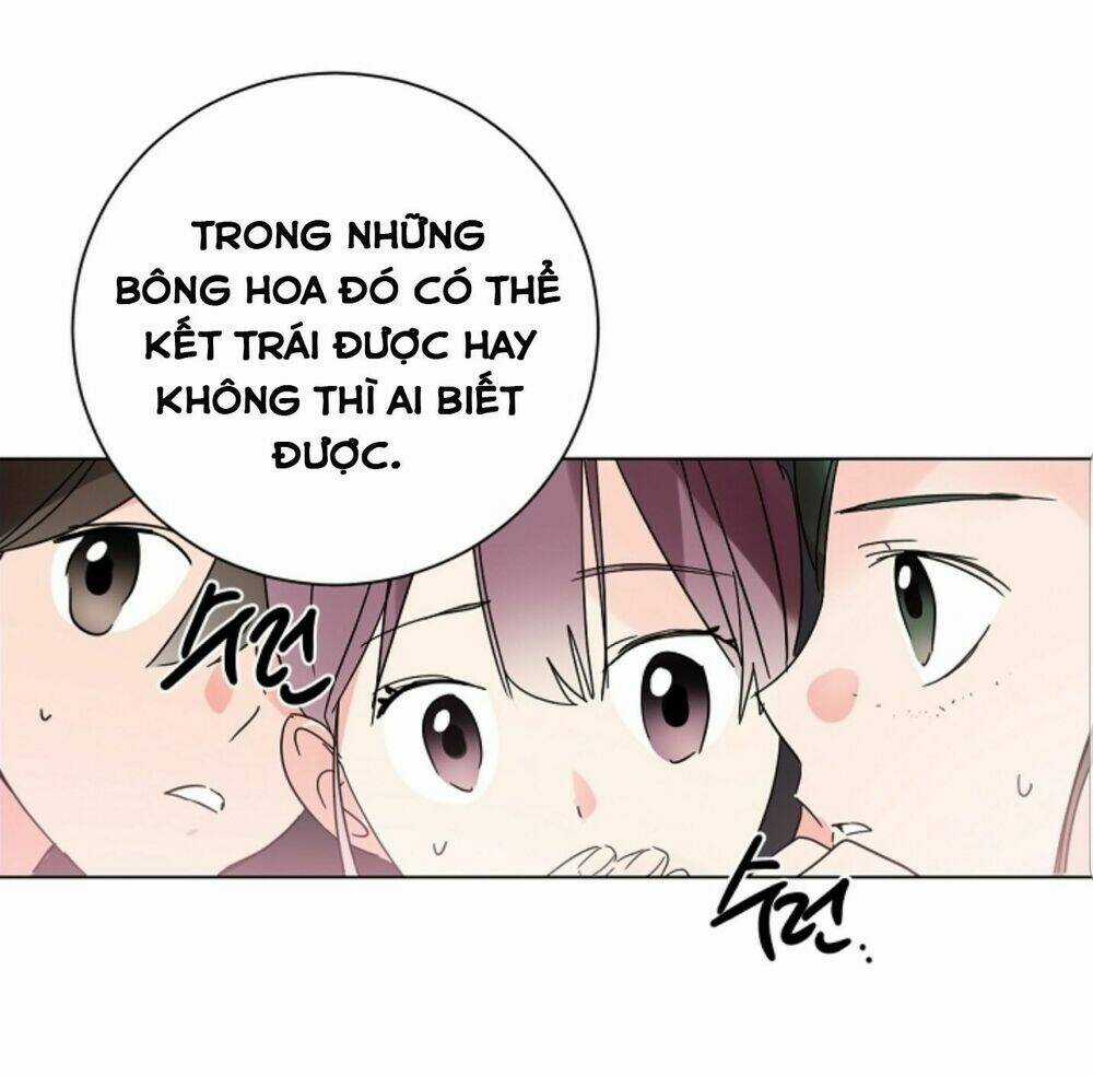 Chae Hong Sa Chapter 43 trang 5